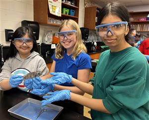7th grade science dissection 2025 8.jpg